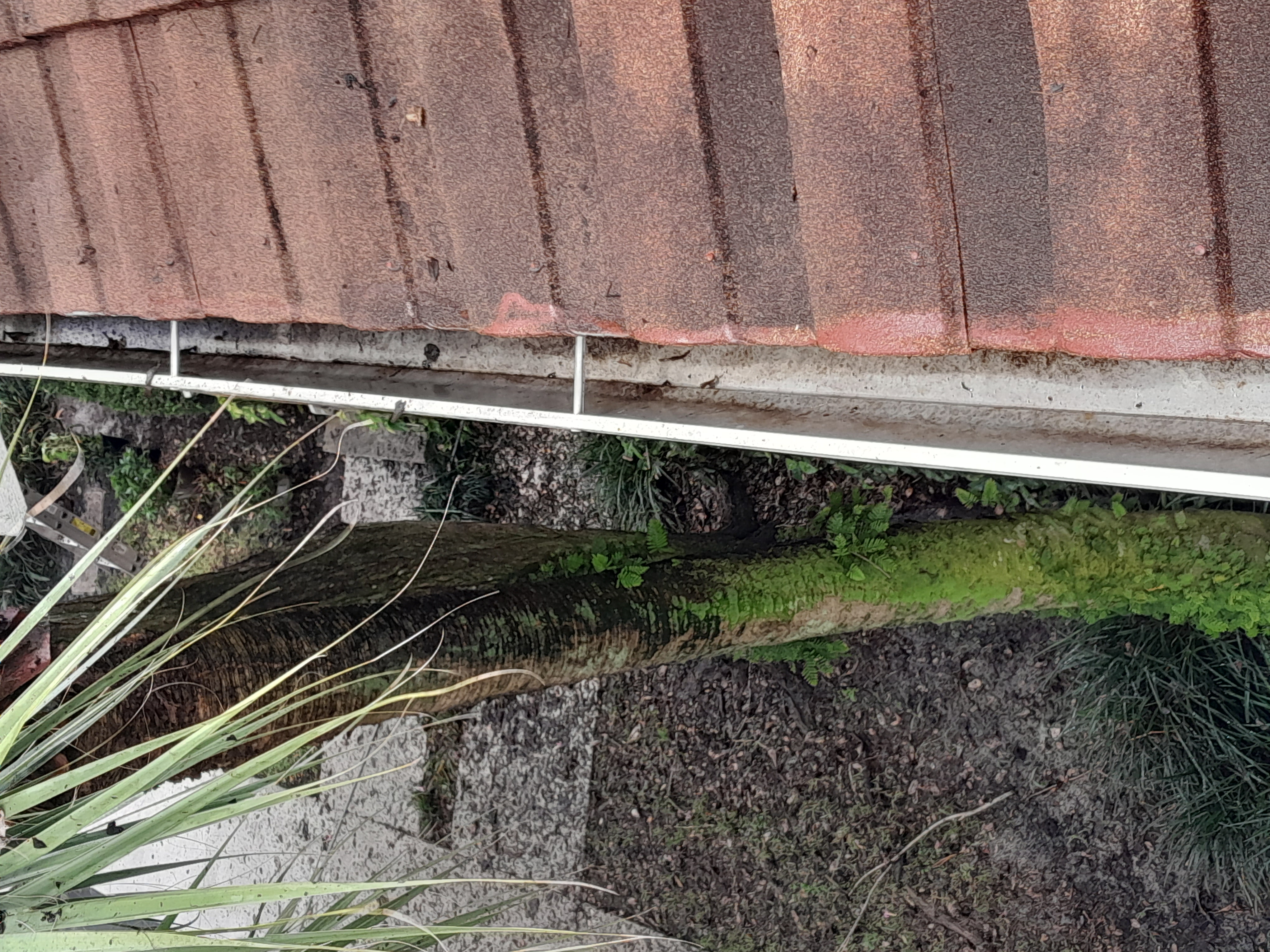 Gutter Cleaning in Plantation, FL